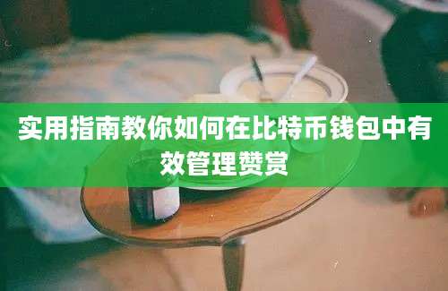 实用指南教你如何在比特币钱包中有效管理赞赏