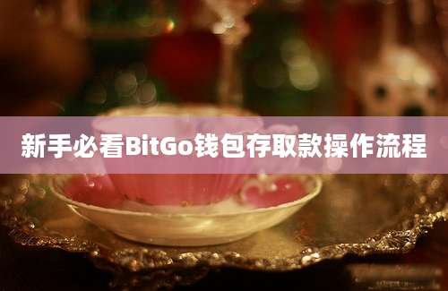 新手必看BitGo钱包存取款操作流程