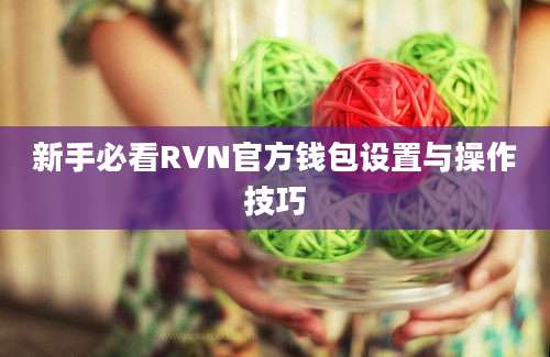 新手必看RVN官方钱包设置与操作技巧