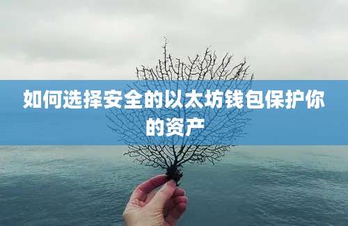 如何选择安全的以太坊钱包保护你的资产