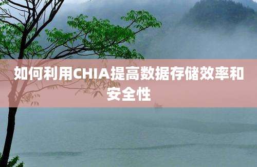 如何利用CHIA提高数据存储效率和安全性