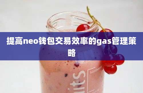 提高neo钱包交易效率的gas管理策略