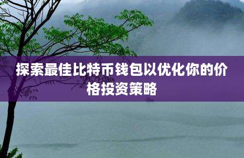 探索最佳比特币钱包以优化你的价格投资策略