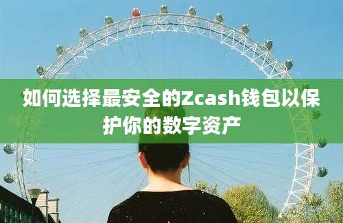 如何选择最安全的Zcash钱包以保护你的数字资产