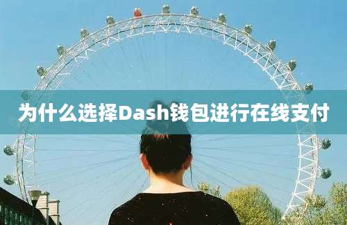 为什么选择Dash钱包进行在线支付