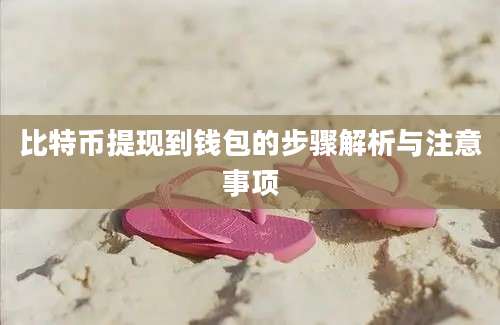 比特币提现到钱包的步骤解析与注意事项