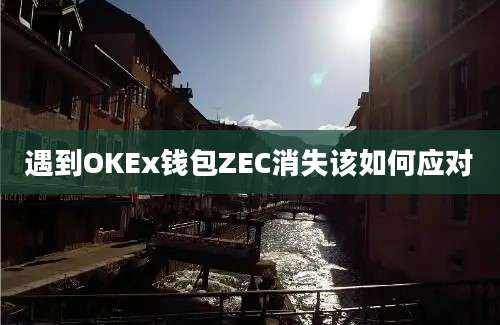 遇到OKEx钱包ZEC消失该如何应对