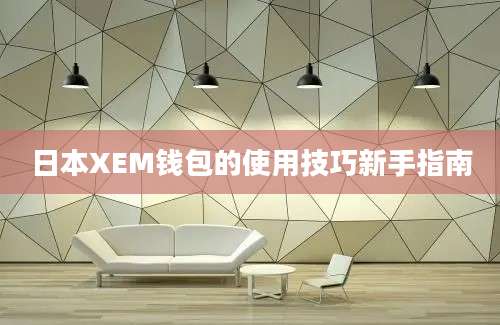 日本XEM钱包的使用技巧新手指南