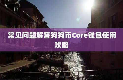 常见问题解答狗狗币Core钱包使用攻略