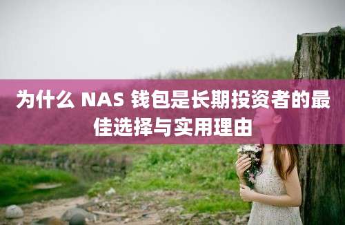 为什么 NAS 钱包是长期投资者的最佳选择与实用理由