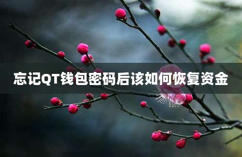 忘记QT钱包密码后该如何恢复资金