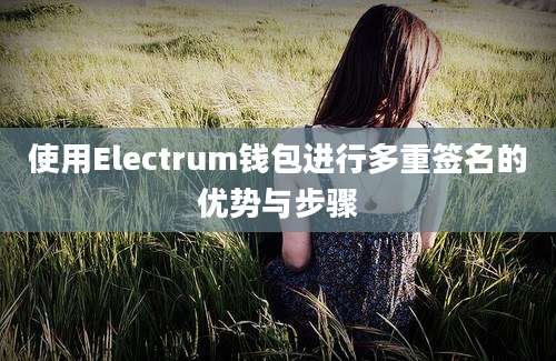 使用Electrum钱包进行多重签名的优势与步骤