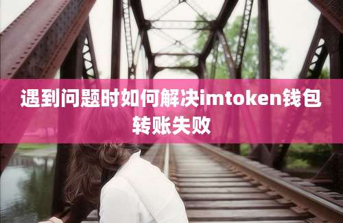 遇到问题时如何解决imtoken钱包转账失败