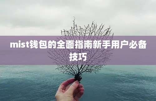 mist钱包的全面指南新手用户必备技巧