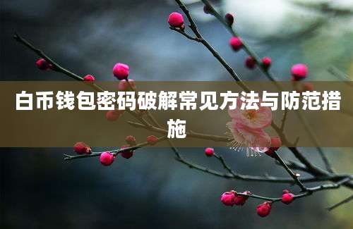 白币钱包密码破解常见方法与防范措施