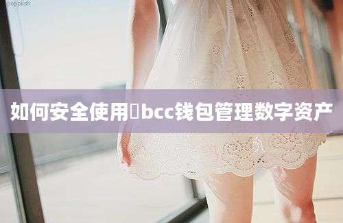 如何安全使用乥bcc钱包管理数字资产