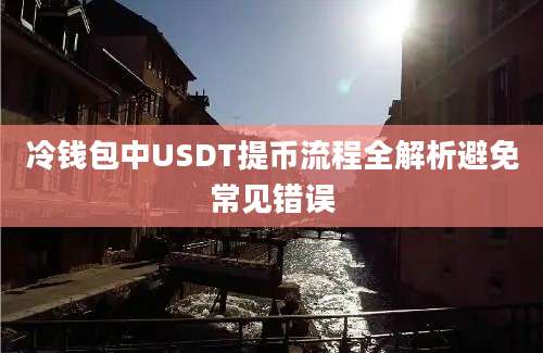 冷钱包中USDT提币流程全解析避免常见错误