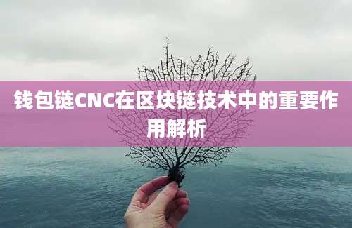 钱包链CNC在区块链技术中的重要作用解析