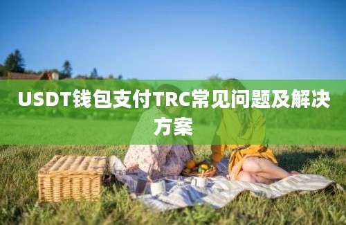 USDT钱包支付TRC常见问题及解决方案