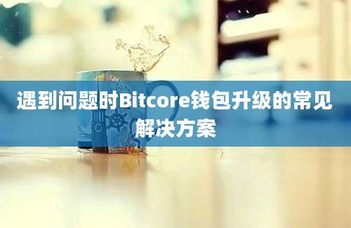 遇到问题时Bitcore钱包升级的常见解决方案