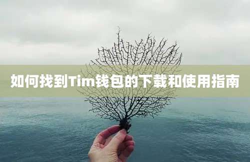 如何找到Tim钱包的下载和使用指南