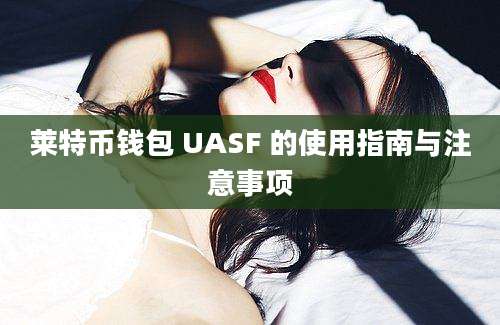 莱特币钱包 UASF 的使用指南与注意事项