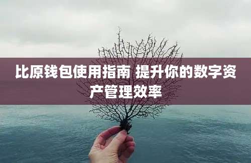 比原钱包使用指南 提升你的数字资产管理效率