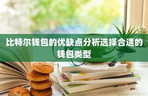 比特尔钱包的优缺点分析选择合适的钱包类型