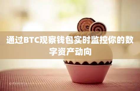 通过BTC观察钱包实时监控你的数字资产动向