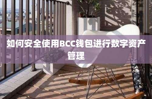 如何安全使用BCC钱包进行数字资产管理