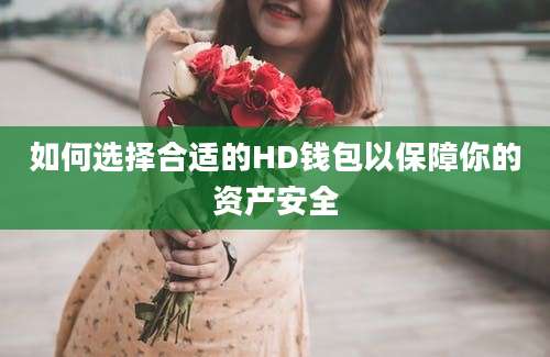 如何选择合适的HD钱包以保障你的资产安全