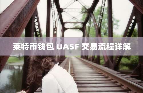 莱特币钱包 UASF 交易流程详解