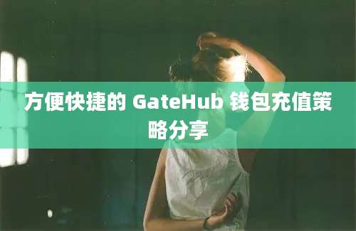 方便快捷的 GateHub 钱包充值策略分享