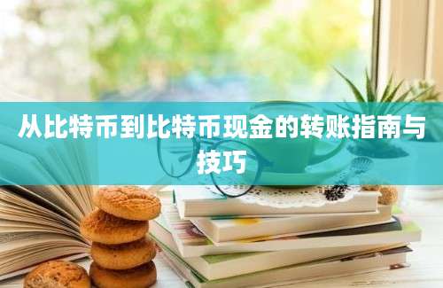 从比特币到比特币现金的转账指南与技巧