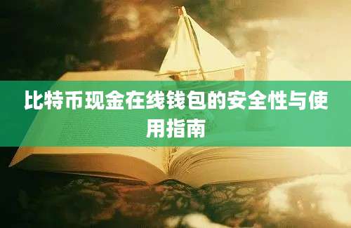 比特币现金在线钱包的安全性与使用指南