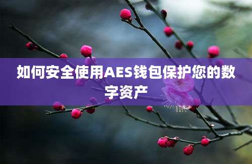 如何安全使用AES钱包保护您的数字资产