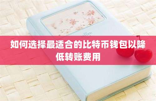 如何选择最适合的比特币钱包以降低转账费用