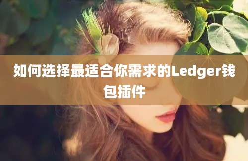 如何选择最适合你需求的Ledger钱包插件