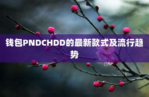 钱包PNDCHDD的最新款式及流行趋势