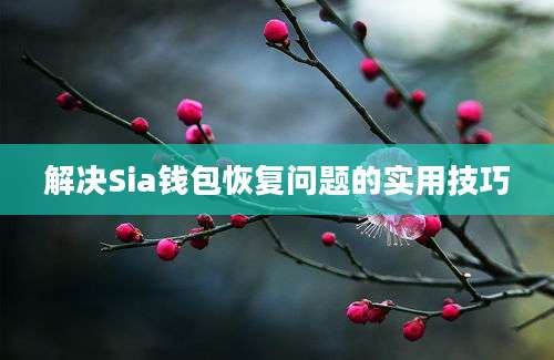 解决Sia钱包恢复问题的实用技巧