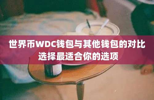 世界币WDC钱包与其他钱包的对比 选择最适合你的选项