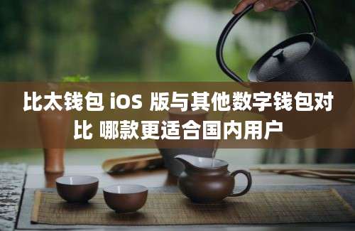 比太钱包 iOS 版与其他数字钱包对比 哪款更适合国内用户