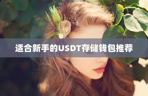 适合新手的USDT存储钱包推荐