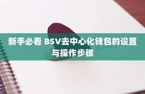 新手必看 BSV去中心化钱包的设置与操作步骤