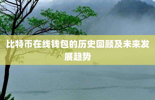 比特币在线钱包的历史回顾及未来发展趋势