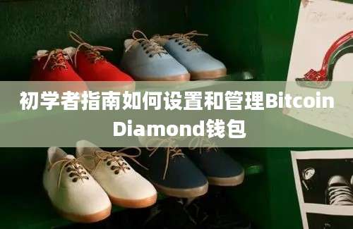 初学者指南如何设置和管理Bitcoin Diamond钱包