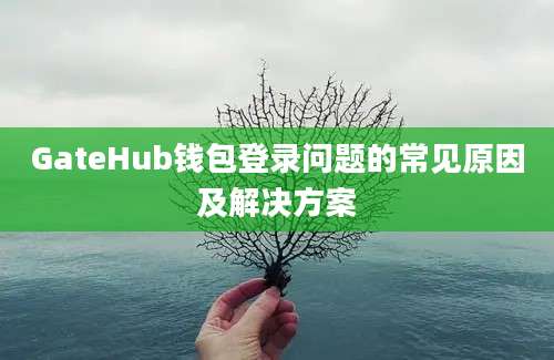 GateHub钱包登录问题的常见原因及解决方案