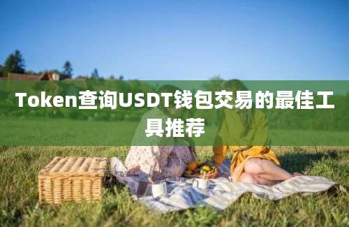 Token查询USDT钱包交易的最佳工具推荐