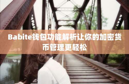 Babite钱包功能解析让你的加密货币管理更轻松