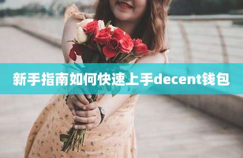 新手指南如何快速上手decent钱包